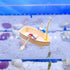 NIHUIFA Fishtank Artificial Vessel Landscape Fish Tanks Decorations for Aquariums Terrarium Shrimp Sail Boats Ornaments