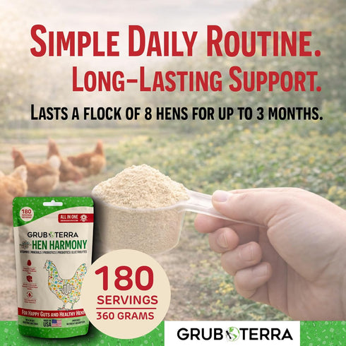 180 GrubTerra Hen Harmony All-in-One Chicken Electrolytes for Water with Probiotics & Prebiotics, Daily Gut Supplement
