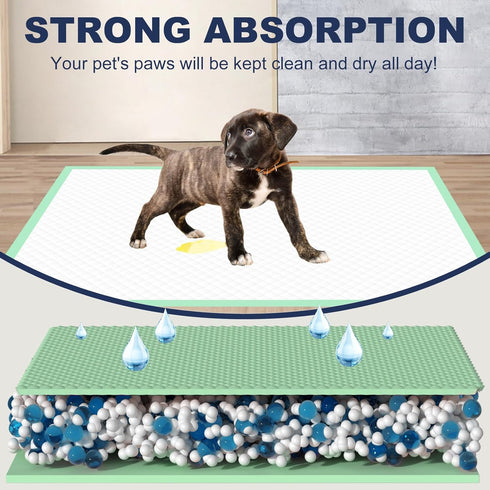 30" 36" 40 Count, Dog Pee Pads Extra Large - XXL Urine UnderpadsUnscented Green Pet Pee Pads, Super Absorbent