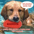 VANFINE Dog Toy, Squeaky Indestructible Tough Stick Chew Toy for Large Dogs, Non-Toxic Natural Rubber (Medium/Large Dog)