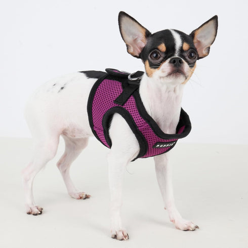 PUPPIA International Soft B Vest Harness, Large, Purple