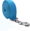 Strong Dog Leash 4FT/5FT/6FT, Nylon Leashes for Small Medium Large Dogs (Blue, 1 in x 15 ft)