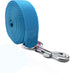 Strong Dog Leash 4FT/5FT/6FT, Nylon Leashes for Small Medium Large Dogs (Blue, 1 in x 15 ft)