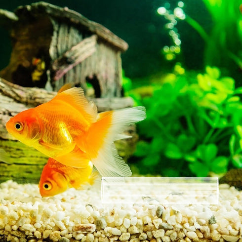 5 SUPVOX Acrylic Shrimp Cave Aquarium Hideout with Holes, Fish Tank Decor Shelter for Breeding and Observation