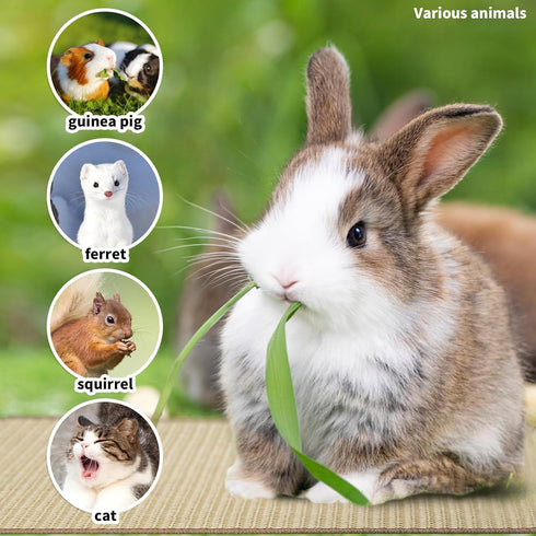 YOIYINI 2Pcs Mat,16 12 Inch Rabbit Scratch x Sisal Rabbit Scratching Pad,Rabbits Scratching Mats for Cages,Claws