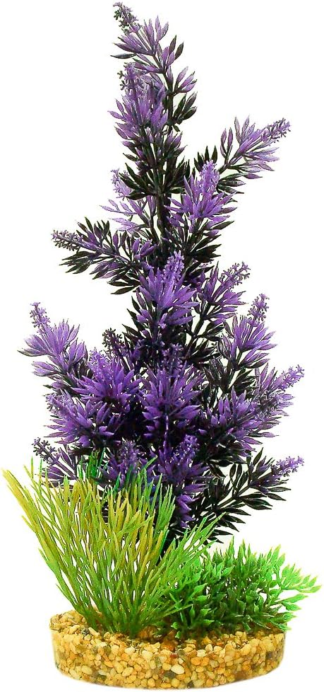 Blue Ribbon Pet Products ABLCB2010BKP Pacifica Plant for Aquarium, Black/Purple