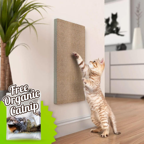 Way Basics Premium Wall Mount Scratch Pad Cat Scratcher with Silvervine Catnip, zBoard Lasts 2X Longer