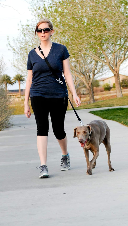 Hands Free Dog Leash Training Lead, Double Snap Grommet Adjustable, Large 1" x 7.5’ Red