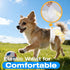360Stretchy Count, 40.0) Pet Soft Disposable Dog Diapers Female, Pull Up Doggie Diapers for Female Dogs, Waist Puppy