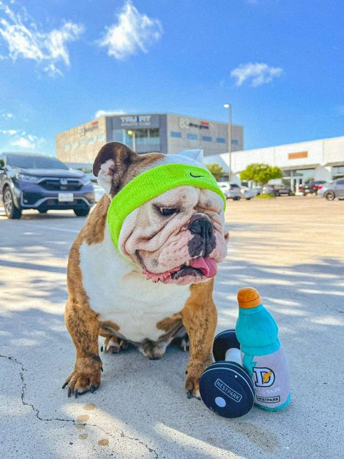 Nestpark Fitness Funny Dog Toys - Doggyade and Doggy Dumbbell Workout Parody - 2 Pack