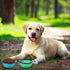 SLSON Collapsible Bowl with Cover Lids - 2 Pack Portable Dog Travel Bowls for Pets (Light Blue & Green)