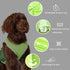 UPF 50+ Sun Protection Dog Shirt, Quick-Dry Lightweight Sleeveless Vest for Medium Dogs, Reflective Strip Pet Apparel