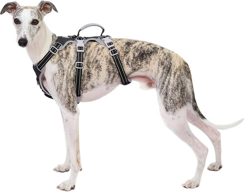 Escape Proof Dog Harness - Secure No Escape Design, Fully Reflective with Handle, Adjustable Vest for Small Dogs