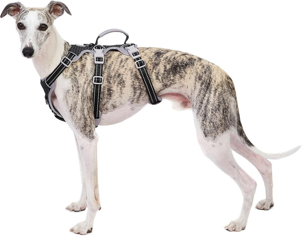 Escape Proof Dog Harness - Secure No Escape Design, Fully Reflective with Handle, Adjustable Vest for Small Dogs