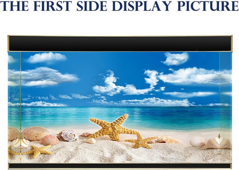 Fish Aquarium Background Poster with Starfish, Blue Sky, Beach, Shell, Seaweed (19" x 48")