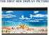 Fish Aquarium Background Poster with Starfish, Blue Sky, Beach, Shell, Seaweed (19" x 48")