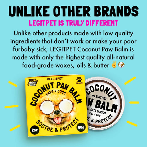 Coconut Paw Balm for Dogs by legitpet for Pet Care
