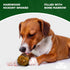 W WAHOO LOCKER 1.5in, 4 Count Wahoo Locker Smoked Beef Bones for Dogs