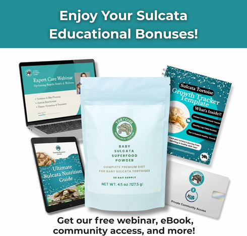 2.5 oz 2 Baby Sulcata Food Powder with Calcium - Scientifically Formulated Diet for Healthy Growth - High Fiber Low