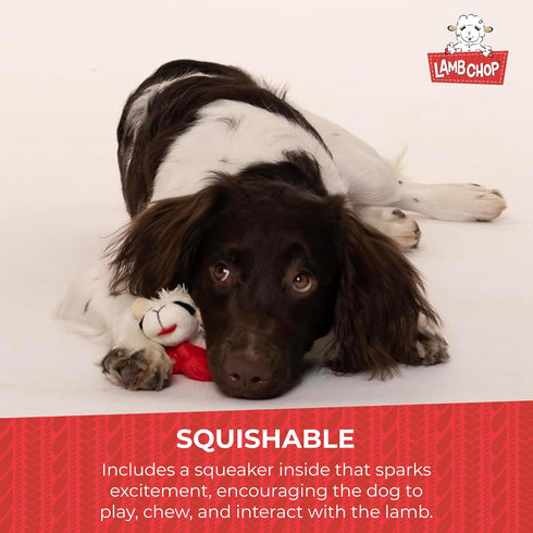 Multipet Lamb Chop Dog Plush Toy, Squeaky Toy for All Dogs, Extra Soft Plush, 6", Cream