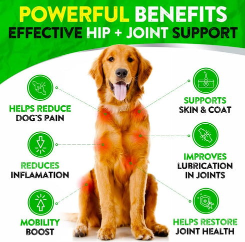 FURALAND 170 Hemp Hip and Joint Supplement for Dogs - Glucosamine for Dogs - Dog Joint Pain Relief Treats