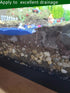 Natural Decorative River Rock Stones, Polished Mixed Pebbles Gravel for Aquariums, Landscaping, Vase Fillers (2.5 LB)