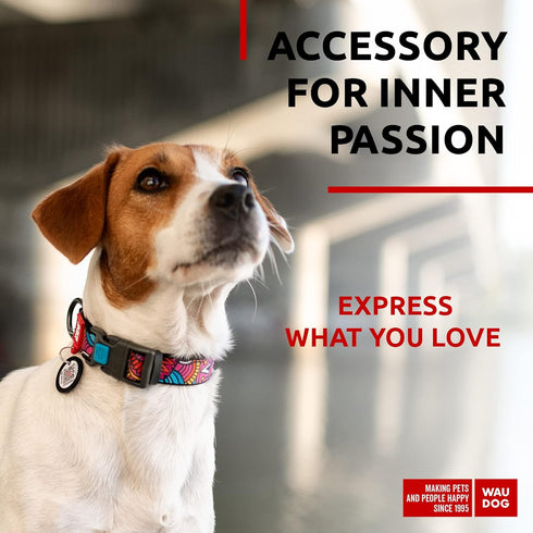 WAUDOG Nylon Dog Collar - Adjustable for Large, Small & Medium Dogs, Breakaway Puppy Collars with QR Dog Tag