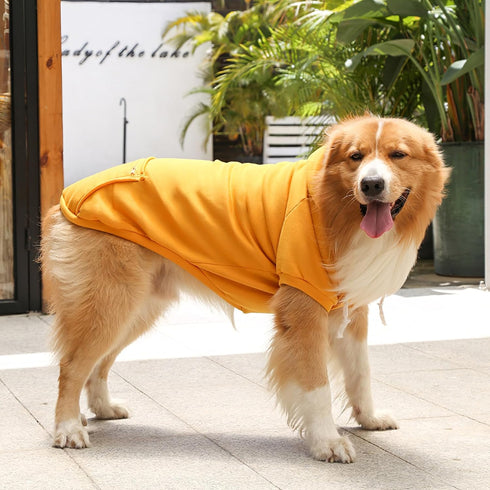 Yellow Dog Sweatshirt with Pocket - Warm Hoodie for Large Dogs and Cats, 2PCS Fall Pullover Apparel, 2XL