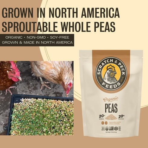 10 lbs 20% Scratch and Peck Whole Peas Chicken, Duck and Livestock Supplemental Grain - Bag - Protein, Certified