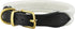 White Soft Genuine Rolled Leather Dog Collar, Brass Hardware, 12.5"-14" Neck Circumference