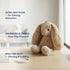 15-Inch Pet Lou Rabbit Dog Squeak Toys, Durable Plush with Crinkle Interactive Dog Toy, Not for Heavy Aggressive