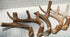 XL Deer Antler Dog Chew - Jumbo, Extra Large for Large Dogs and Aggressive Chewers