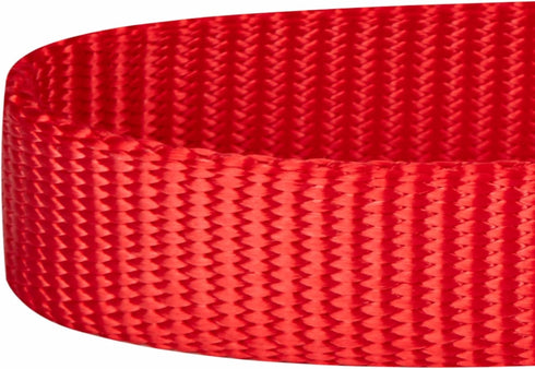 Blueberry Pet Essentials Matching Dog Collar and Double Handle Leash Set in Rouge Red, Adjustable Nylon Collar with 5