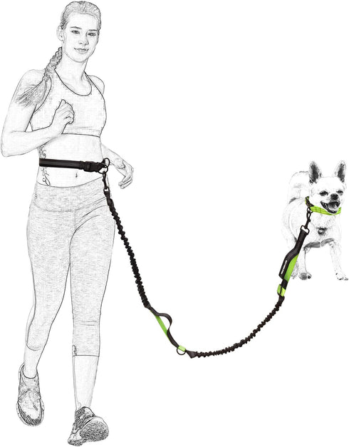 Mile High Life Retractable Hands Free Dog 7FT Leash, Adjustable Waist Running Leash for Small Medium Large Dogs (Blue)