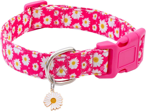 Faygarsle Cotton Dog Collar - Cute Collars for Small Medium Large Dogs, Hot Pink Floral Options, Soft Fancy Pet Collars