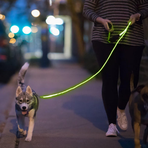 Nitey Leash, LED Glow in The Dark Pet Dog Leash (Green)