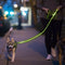 Nitey Leash, LED Glow in The Dark Pet Dog Leash (Green)