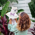 ANNUOZE 3 PCS Chiffon Cat Bibs with Bows, Sweet Lace Ruffle Dog Bib Collars, Cute Kitten Bandana Scarf, Pet Accessories