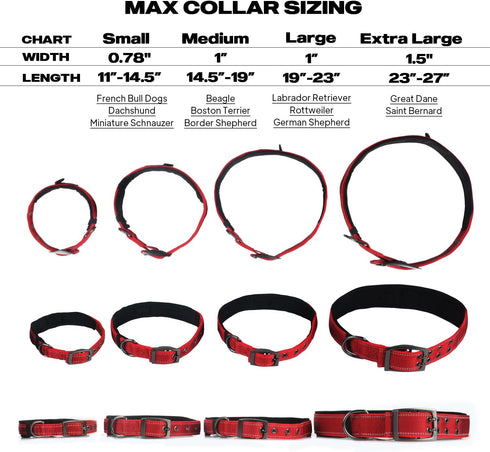 PetiFine Dog Collar with Metal Buckle, Heavy Duty Soft Neoprene Padded Adjustable Reflective Nylon for Small Medium
