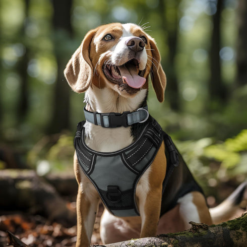 Joytale Reflective Dog Collar, Soft Neoprene Padded Breathable Nylon for Large Dogs (Gray, L)
