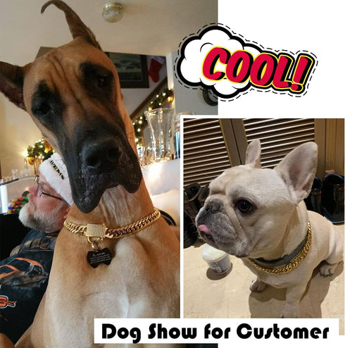 Gold Chain Dog Collar with Zirconia Locking - 18K Stainless Steel Heavy Duty Metal Puppy Bling Necklace (16mm, 14")