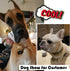 Gold Chain Dog Collar with Zirconia Locking - 18K Stainless Steel Heavy Duty Metal Puppy Bling Necklace (16mm, 14")