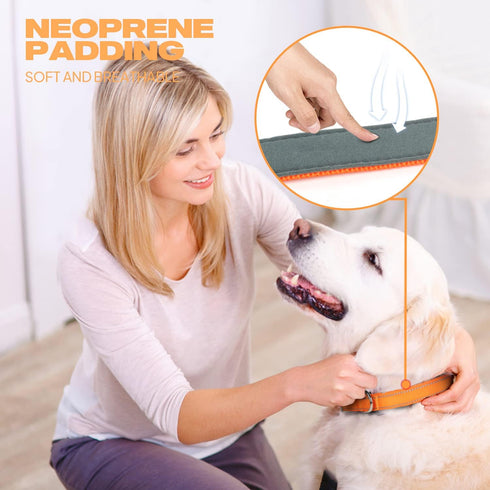 TwoEar Heavy Duty Dog Collar, Soft Neoprene Padded Breathable Nylon, Adjustable Reflective for Small Dogs