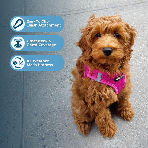 Voyager Step-In Air Dog Harness - All Weather Mesh, Reflective No Pull Harness for Small, Medium Dogs, Cats, Fuchsia,
