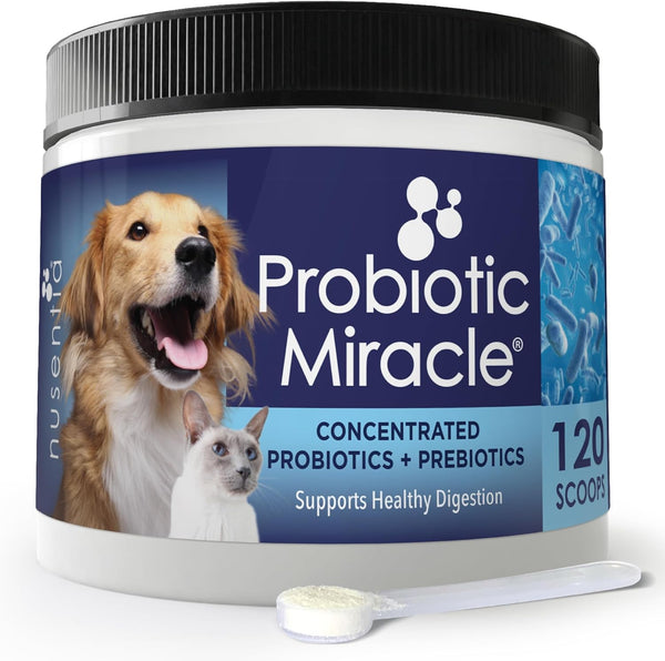 Probiotics for Cats & Dogs: Probiotic Miracle for Digestive Health, Stop Diarrhea & Loose Stool