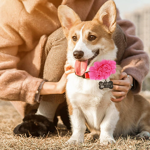 10 PCS Dog Collar Flowers, Multi-Color Pet Bow Ties, Sliding Grooming Accessories for Puppy Small Medium Large Dogs