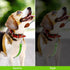 2PCS Reflective Dog Safety Collar Clips, Adjustable Nylon Pet Collar Double Ended 360 Degree Rotatable Backup Clasp Clips Dog Collar Harness Connector (Green, Pink)