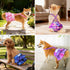 Idepet 3 Pack Female Dog Diapers with Suspender Detachable, Tie Dye Washable Reusable Girl Doggie Diapers for Small