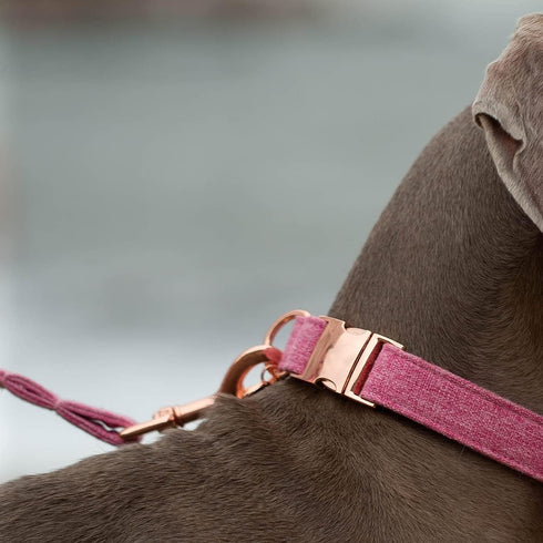 DOGWONG Cotton Dog Collar and Leash, Soft Durable Pink Pet Collar for Small Medium Large Girl Dogs