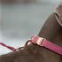 DOGWONG Cotton Dog Collar and Leash, Soft Durable Pink Pet Collar for Small Medium Large Girl Dogs